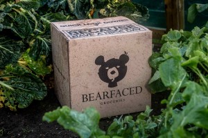 Creative Agency Manchester | Bearfaced Groceries | Box in Greenery