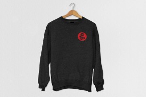 Creative Agency Manchester | Tim Marner | Bolton Dragons Jumper