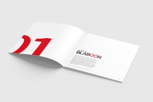 Branding Agency Manchester | Tim Marner | Blaboon Brochure Design